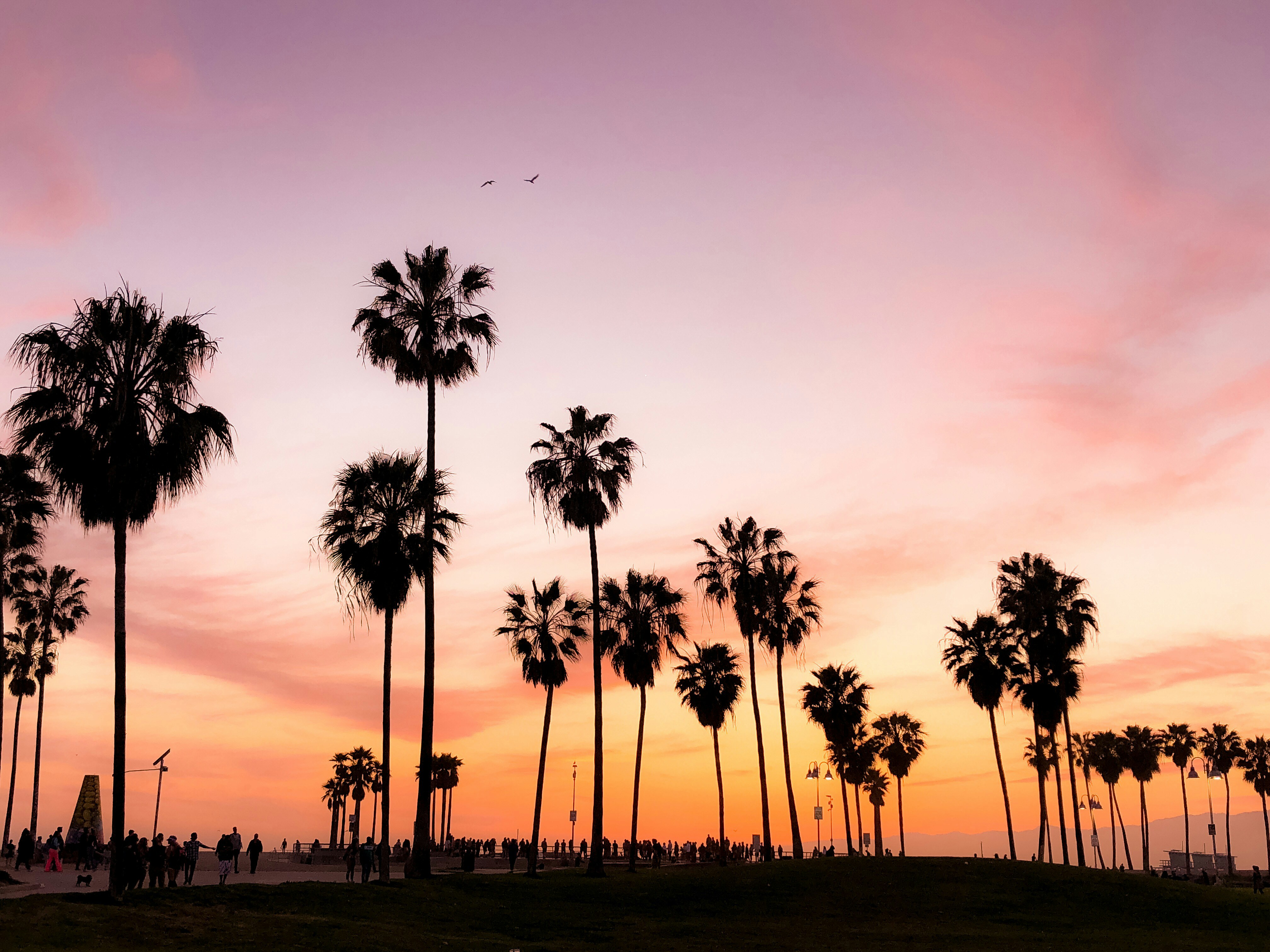 california Probate